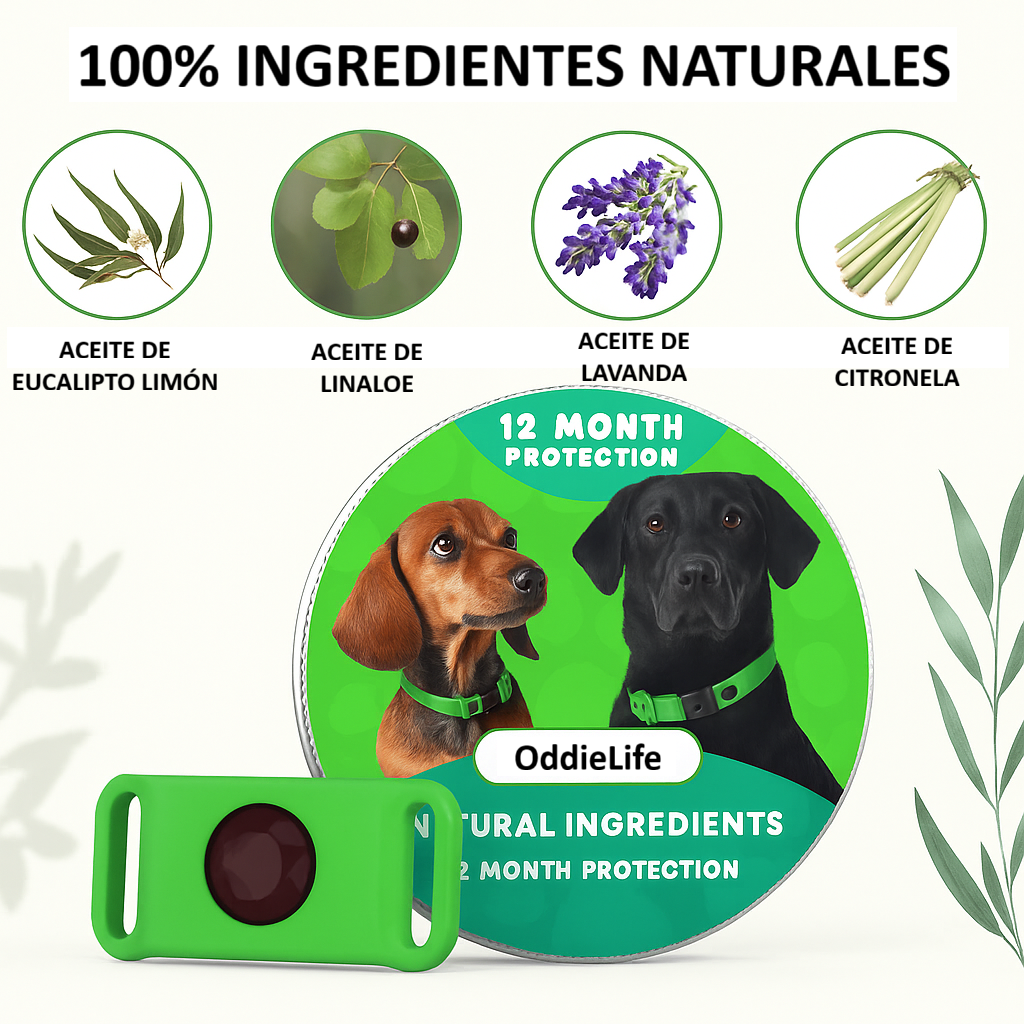 OddieLife® Eficaz contra pulgas y garrapatas hasta por 12 meses