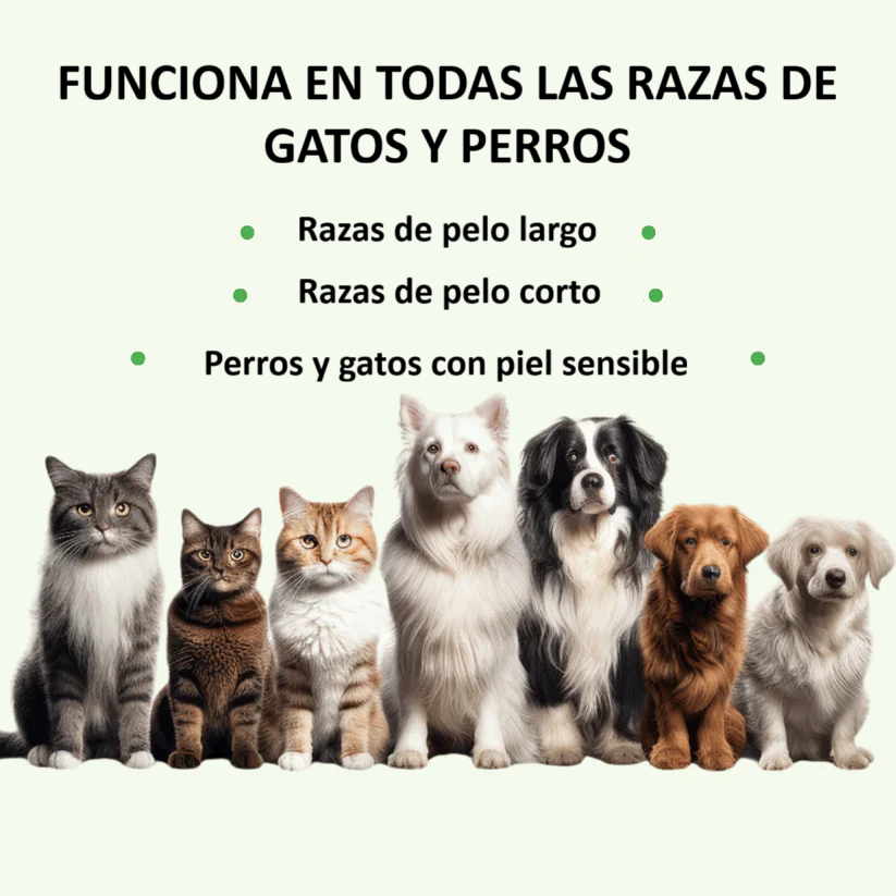 OddieLife® Eficaz contra pulgas y garrapatas hasta por 12 meses