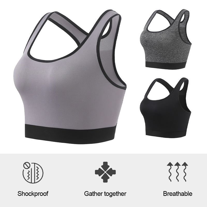 TOP 5 SOSTENES SIN TIRANTES FAVORITOS DE LAS MUJERES AL111