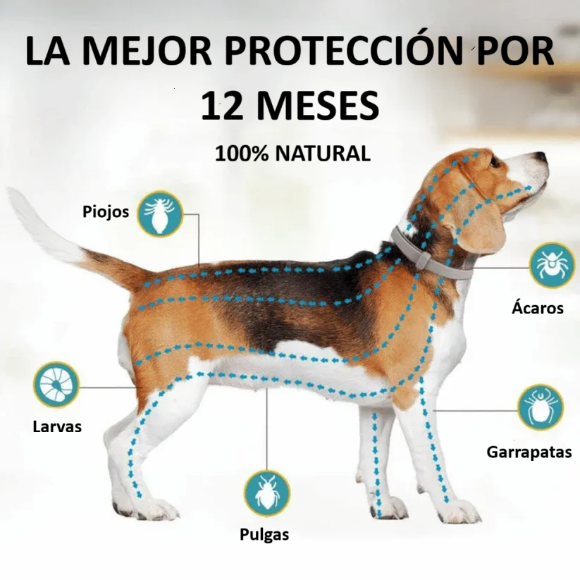 OddieLife® Eficaz contra pulgas y garrapatas hasta por 12 meses