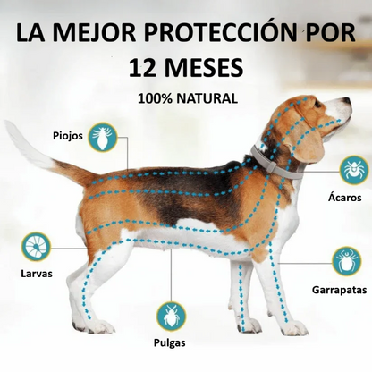 OddieLife® Eficaz contra pulgas y garrapatas hasta por 12 meses
