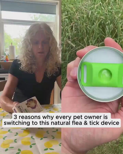 OddieLife® Eficaz contra pulgas y garrapatas hasta por 12 meses